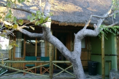Moholoholo bungalow patio-Scott CD